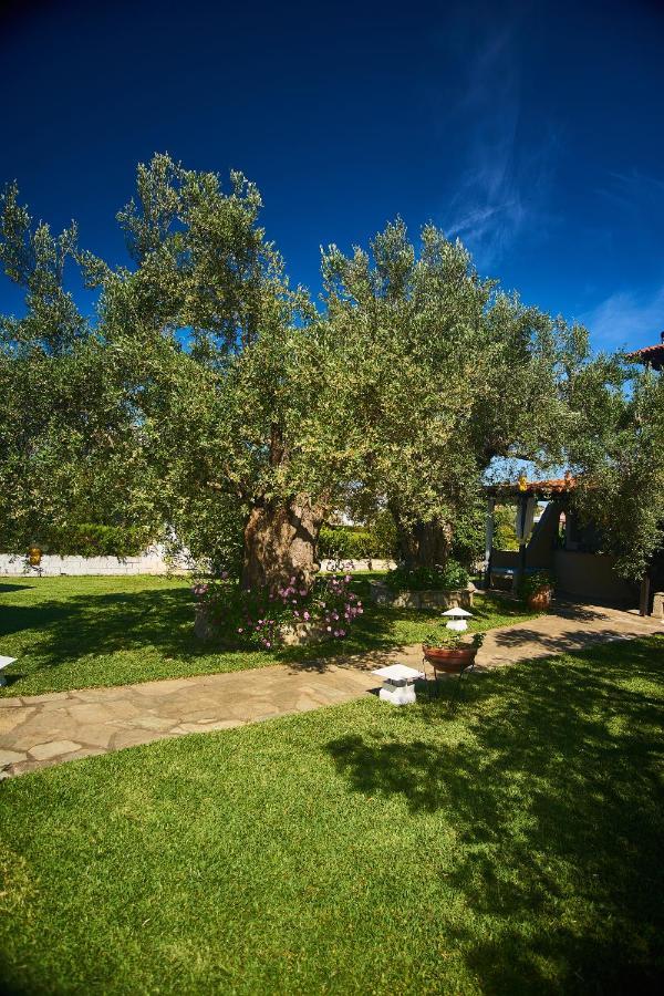 Villa The Cosy Olive Ormos Panagias Exteriér fotografie