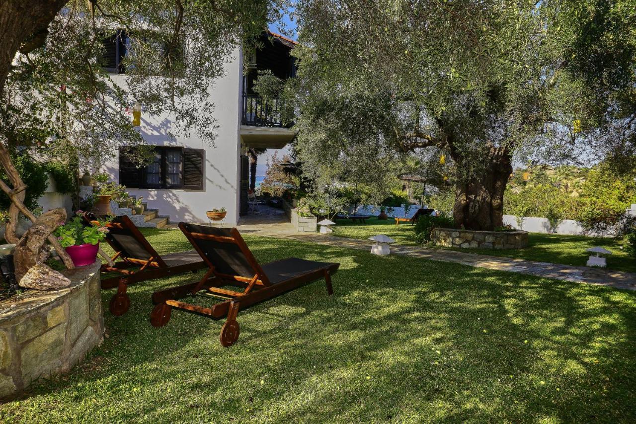 Villa The Cosy Olive Ormos Panagias Exteriér fotografie