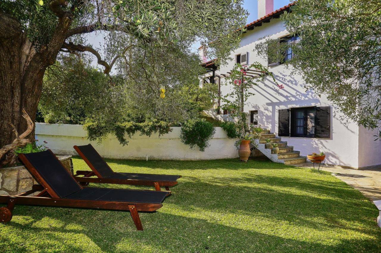 Villa The Cosy Olive Ormos Panagias Exteriér fotografie