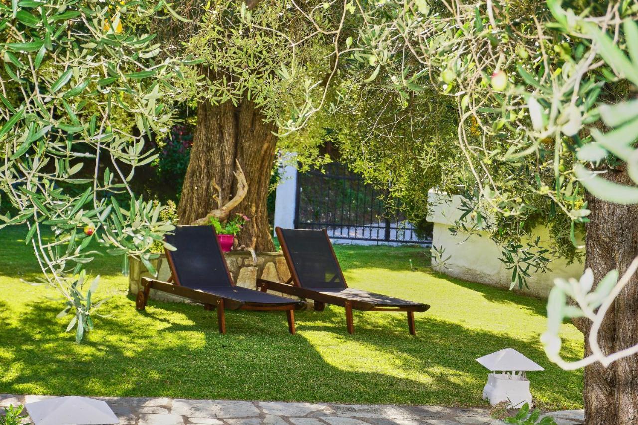 Villa The Cosy Olive Ormos Panagias Exteriér fotografie